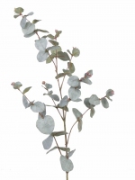 Eucalyptus Spray, 86cm